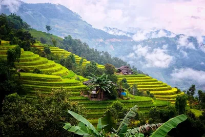 DaLat Tour 3 Days 2 Nights